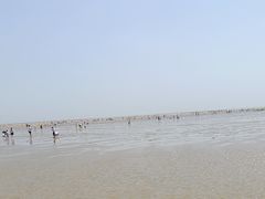 -刘家湾赶海园
