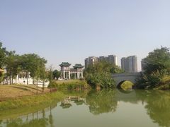 -王借岗森林公园