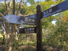 -聚龙山公园