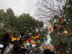 -西溪国家湿地公园