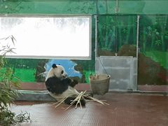 -广州动物园