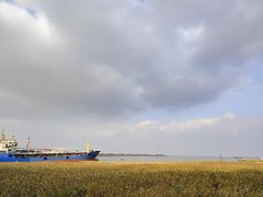 -浏河古镇