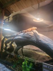 -Zoolung Zoolung动物主题公园(海信广场店)