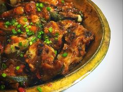 铜盘豉汁蒸鲶鱼-香港仔茶餐厅(凤阳店)