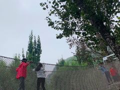 -幽岚山·童话森林
