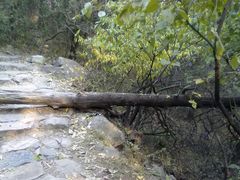 201311023921-阳台山自然风景区