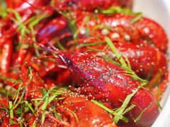 -上海明天广场JW万豪酒店