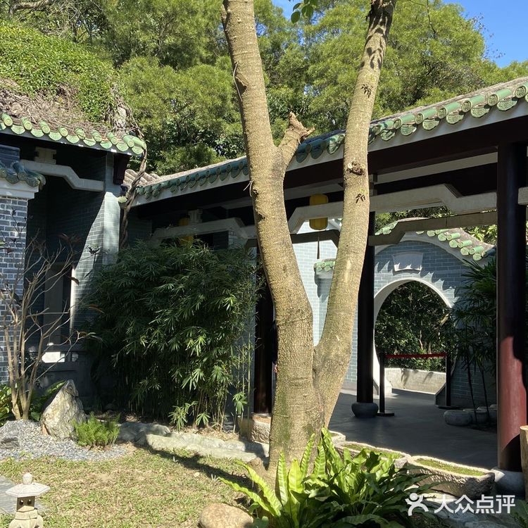 白云山素食馆雅韵轩🥄健康的饮食文化