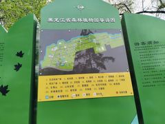 -黑龙江省森林植物园