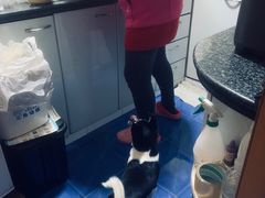 -PETKIT小佩宠物·低压洗护(国顺东路店)