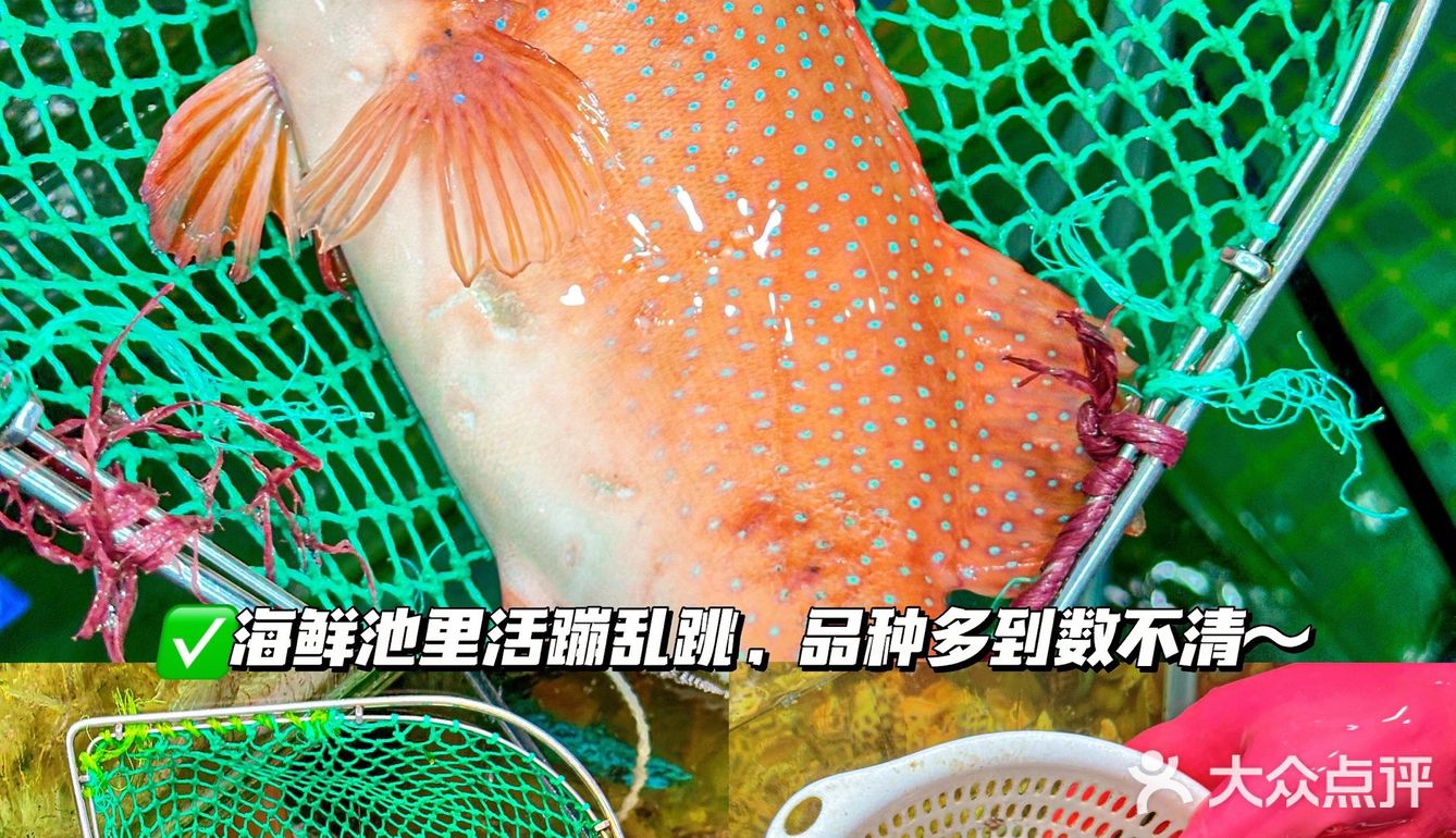 在三亚！会反复带家人来吃的海鲜餐厅…