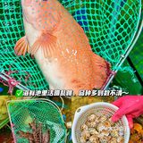 在三亚！会反复带家人来吃的海鲜餐厅…