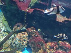 -秦皇岛新澳海底世界