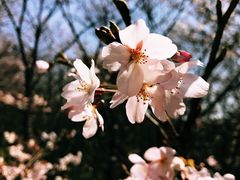 -静安雕塑公园