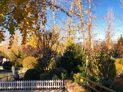 -南宫五洲植物乐园