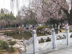 -宣武艺园