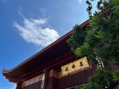 -深圳仙湖植物园