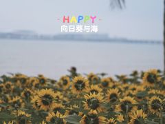 -情侣路