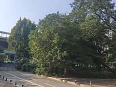 -竹吟山房