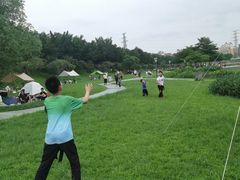 -风云岭森林公园