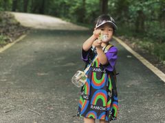 -素山寺森林公园