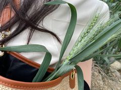 -中国天府农业博览园