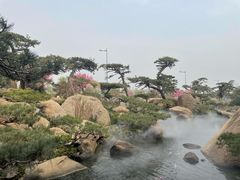 -罗红摄影艺术馆