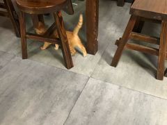 -家烧面馆【南山路知名经典面食】