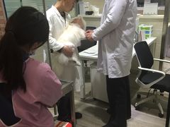 -暖阳宠物医院·犬猫康复中心·骨科