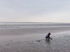 -南汇新城海滩