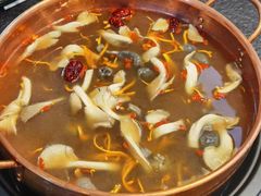 -一善菌·云南菌汤·云南菜(银泰城店)