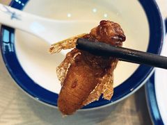 -山明水秀农庄