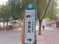 -白洋淀景区