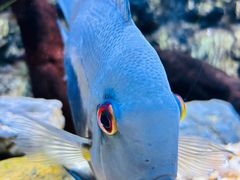 -上海海洋水族馆