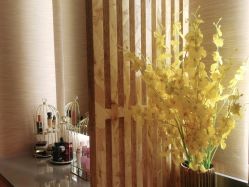 -栖SPA·ONDA ·海菲秀·皑皑科技美肤中心