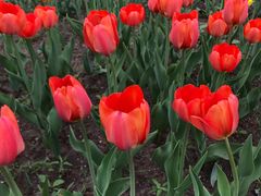 -长春公园(普阳街道)