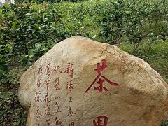 -海珠湖公园