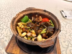 -天宝食坊·啫啫煲大排档(西华路店)