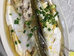 清蒸白鱼-沙奶奶土灶馆•地道农家菜(沙家浜景区店)