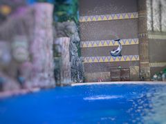 -珠海长隆海洋王国