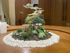 -十二厨·土菜雅院