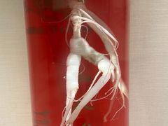 -广东中医药博物馆