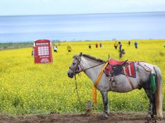 -青海湖国家重点风景名胜区