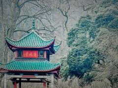 -岳麓山风景名胜区