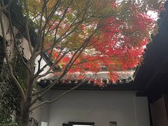 -南京市民俗博物馆(甘熙故居)