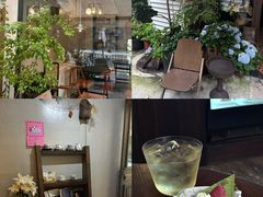 -concerto协奏曲咖啡店