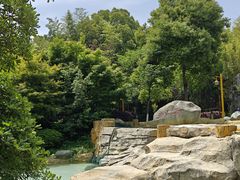 -洪湖悦兮半岛国际温泉度假村