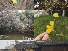 -水绘园