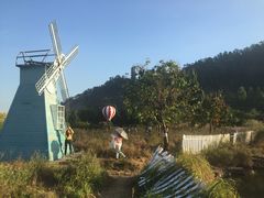 -南沙蒲洲花园