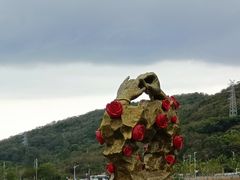 -亚龙湾国际玫瑰谷